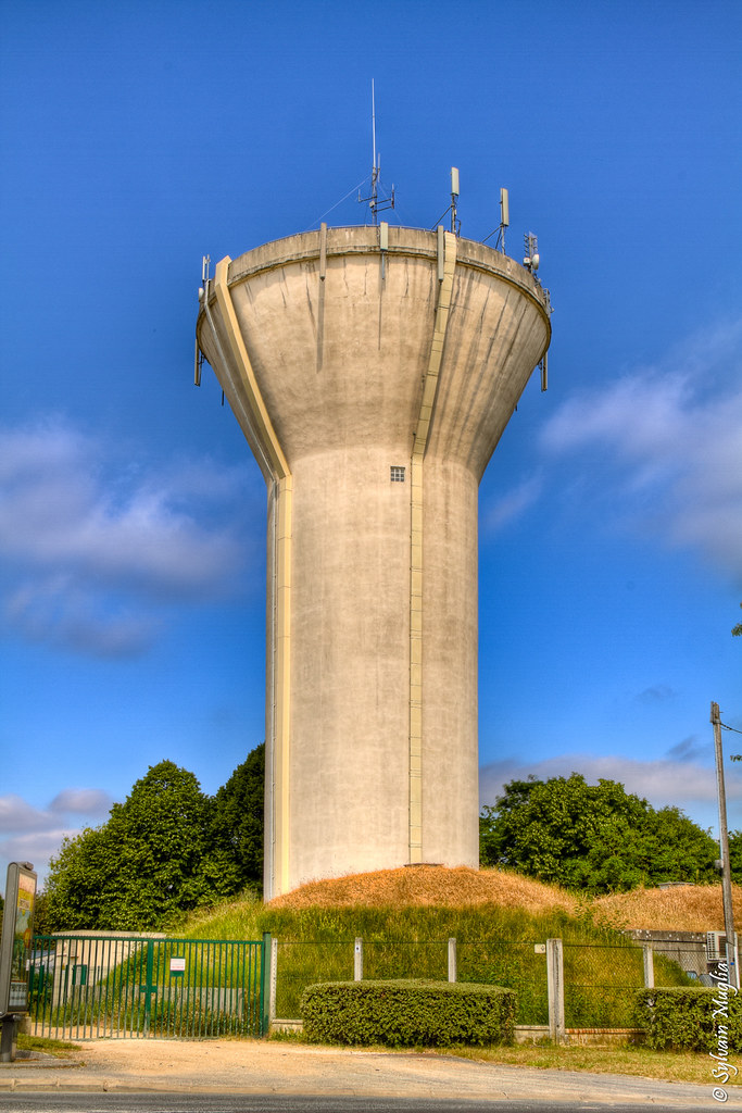 Modification des consommations viticoles